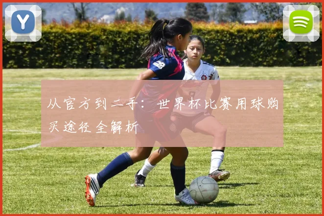 从官方到二手：世界杯比赛用球购买途径全解析