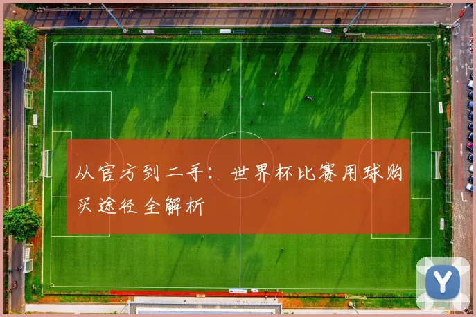 从官方到二手：世界杯比赛用球购买途径全解析